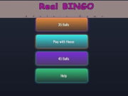 Play BINGO Real Game on FOG.COM