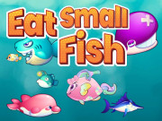 Play Eat Small Fish Game on FOG.COM