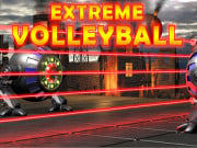 Play Extreme Volleyball Game on FOG.COM