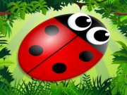 Play Bug Match Game on FOG.COM