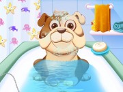 Play Animal Daycare Games Game on FOG.COM