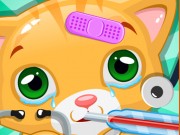 Play Little Cat Doctor Game on FOG.COM
