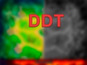 Play DDT Game on FOG.COM