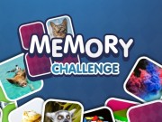 Play Memory Challenge Game on FOG.COM