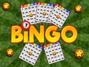 Play Bingo Revealer Game on FOG.COM