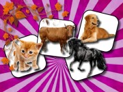 Play Domestic Animal Memory Challenge Game on FOG.COM