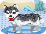 Play My Cute Dog Bathing Game on FOG.COM