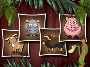 Play Animal Shapes 3 Game on FOG.COM