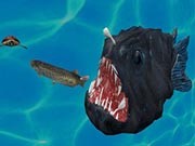 Play Fish3D.io Game on FOG.COM