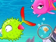 Play Find Sea Fish Game on FOG.COM