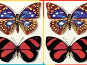Play Differences Butterflies Game on FOG.COM