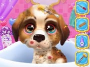 Play Elsa's Pet Hospital Game on FOG.COM