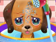 Play Cute Puppy Care Game on FOG.COM