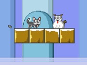 Play Mr Jump Husky Game on FOG.COM