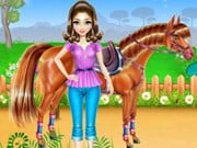 Horse Care And Riding