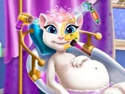 Play Pregnant Kitty Spa Game on FOG.COM