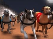 Play Greyhound Racing Game on FOG.COM