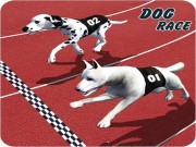 Crazy Dog Racing Fever Game 3D