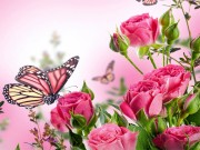 Play Butterflies Puzzle Game on FOG.COM