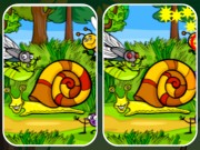 Play Insects Photo Differences Game on FOG.COM