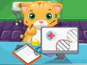 Play Cat Doctor Sim Game on FOG.COM