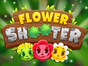 Play Flower Shooter Game on FOG.COM