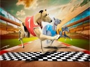 Play Crazy Dog Racing Game 2020 Game on FOG.COM