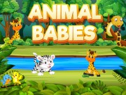 Play Animal Babies Game on FOG.COM