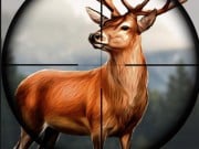 Play Animal Safari Hunter 2020 Game on FOG.COM