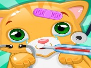 Play Little Cat Doctor Pet Vet Game Game on FOG.COM
