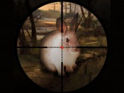 Play Classical Rabbit Sniper Hunting 2019 Game on FOG.COM