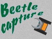 Play Beetle capture Game on FOG.COM