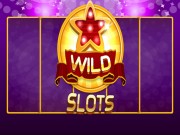 Play Wild Slot Game on FOG.COM