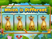 Play Which Is Different Animal Game on FOG.COM