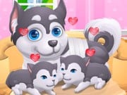 Play Cute Puppy Pregnant Game on FOG.COM