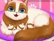 Play Cute Kitty Pregnant Game on FOG.COM