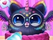 Play The Cutest Squishy Pet Game on FOG.COM