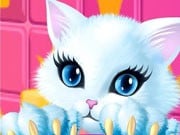 Play Princess Kitty Care Game on FOG.COM