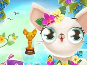 Play Miss Hollywood Vacation Game on FOG.COM