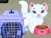 Play Baby Taylor Pet Care Game on FOG.COM