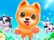 Play Puppy Virtual Dog Game on FOG.COM