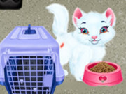 Play Baby Taylor Pet Care - Save Cute Animals Game on FOG.COM