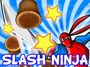 Play Slash Ninja Game on FOG.COM