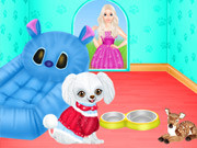 Play My New Poodle Friend Game on FOG.COM