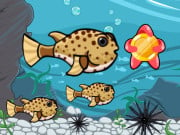 Play Run Fish Run Game on FOG.COM