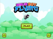 Play Ninja flying boy Game on FOG.COM