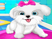 Play Puppy: Pet Salon & Dog Daycare Game on FOG.COM