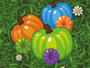 Play Color Pumpkin Match Game on FOG.COM