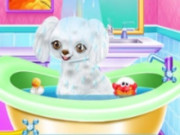 Play My New Poodle Friend - Pet Care Game Game on FOG.COM