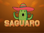 Play Saguaro Game on FOG.COM